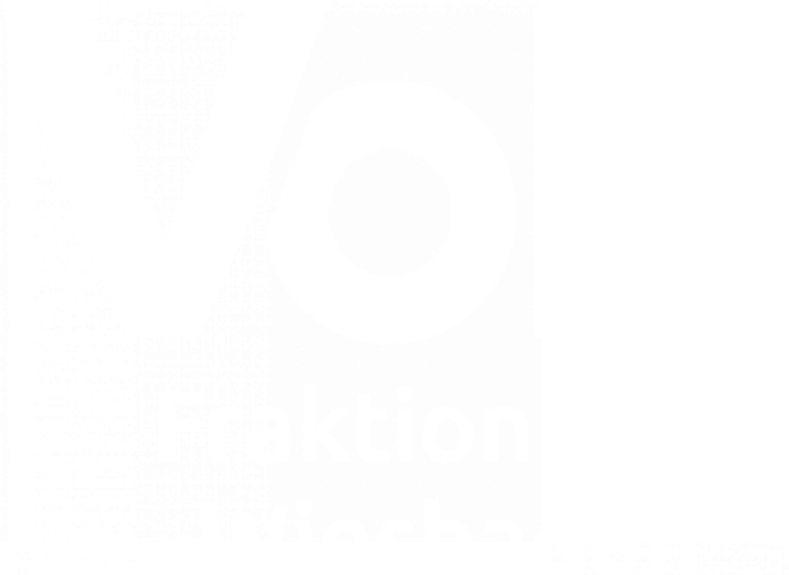 Logo der Volt-Fraktion Wiesbaden